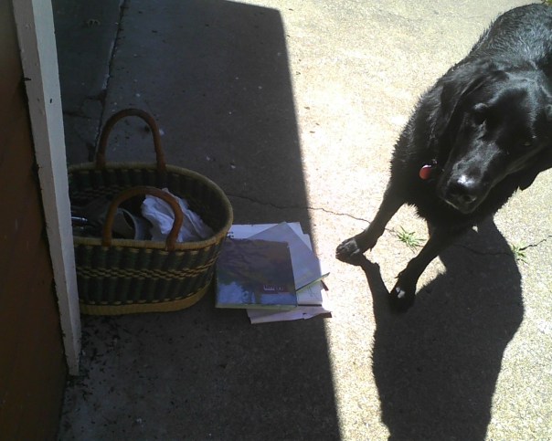 cabin aug seventh 031